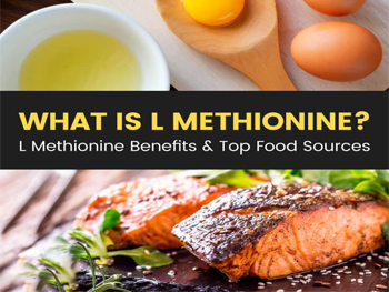 What Does L Methionine Do For The Body